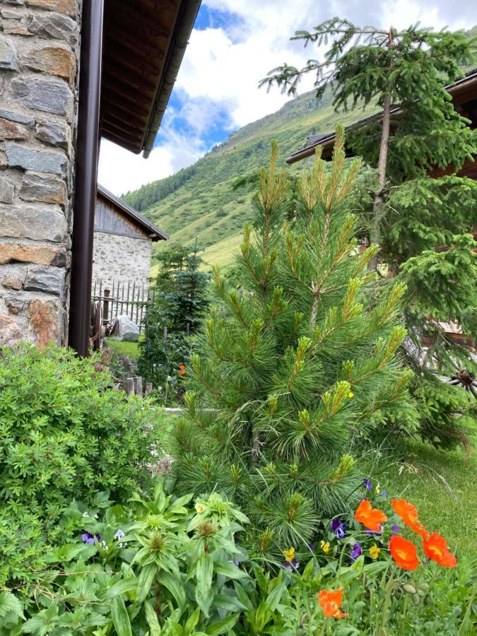 Dreihaeuser Obergurgl Exterior photo
